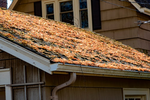Residential Roof Maintenance & Preventative Tune-Ups